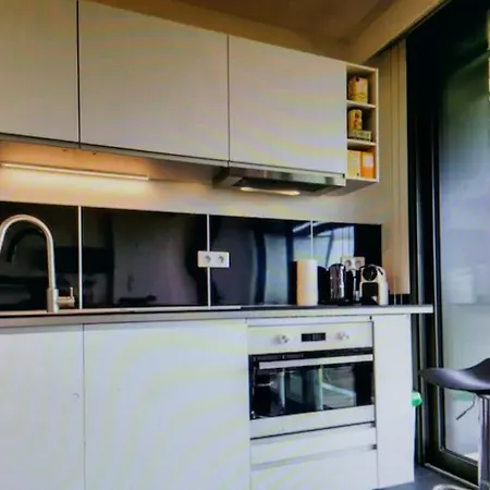 Apartament Avec Terrace Docks *